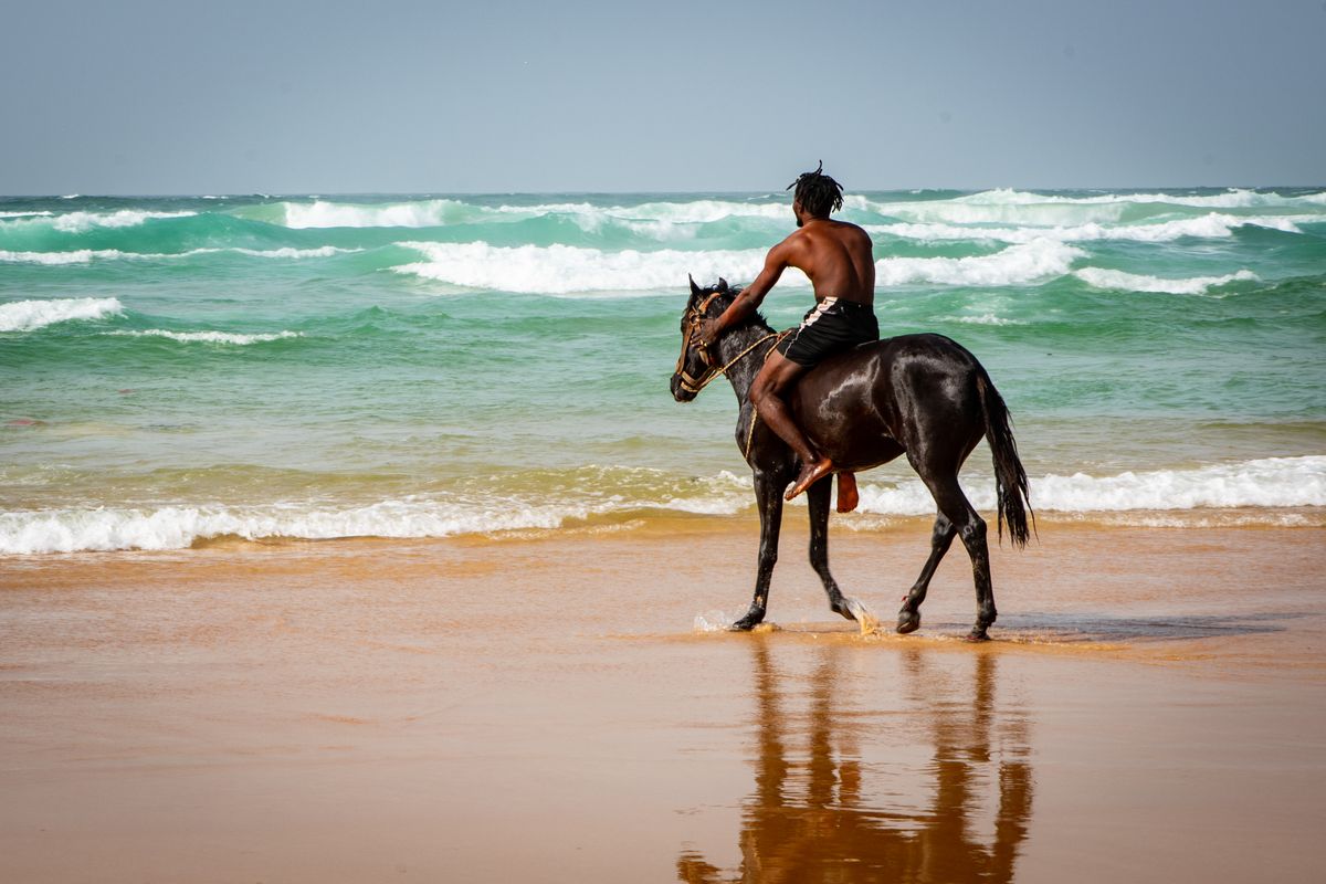 Un cavalier longe une plage de Dakar, au bord de l’Atlantique